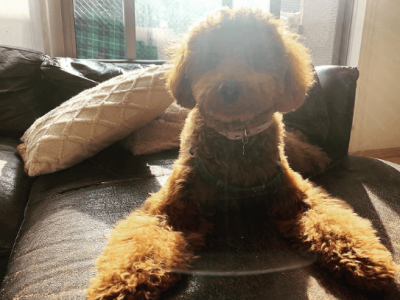 パーソナルレッスンチロル♫