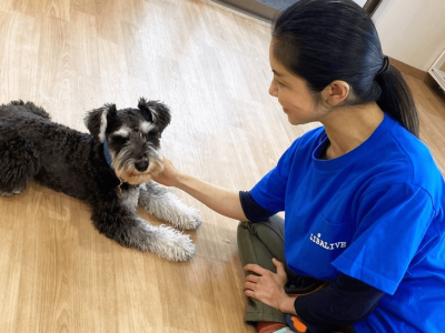 オンラインカウンセリング