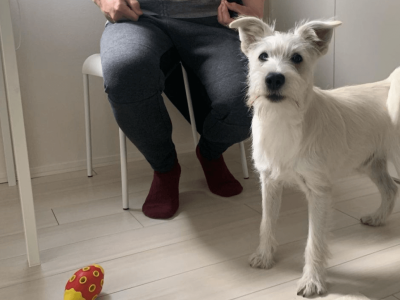 ご自宅でのパーソナルレッスン