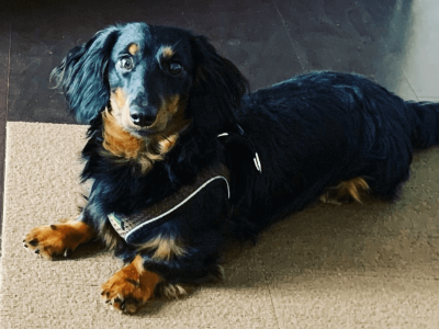 パーソナルトレーナーって?!