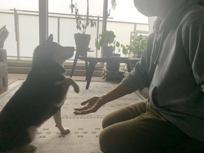 尊重するコミュニケーション