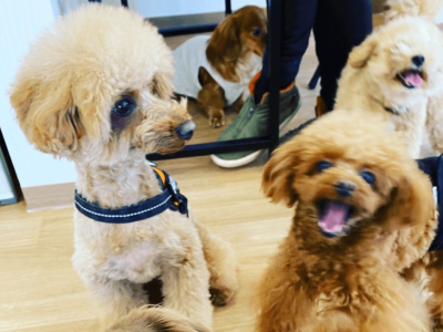 リバライブ国際資格トレーナー