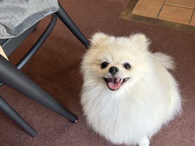 まずは興味の対象になればいい。そしてあなたが信頼の土台を作るといい