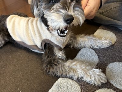 手についていく。それが出来るといっぱいこなせる理由