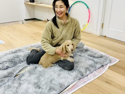 犬の整体　大泉学園※練馬区スペースで　イベントです。