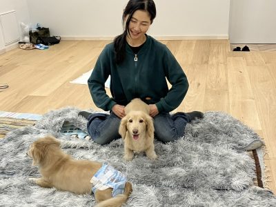 犬の整体　練馬区大泉学園スペースソラチカさんにてたくさんの皆さんありがとうございました☺