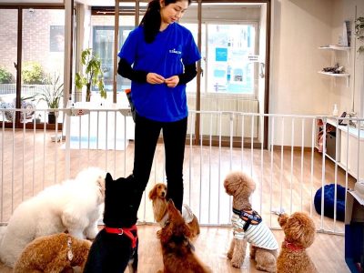 2023年１月６日グループレッスンイベント情報